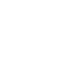 Regola Consulting